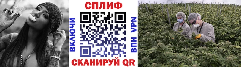 Наркошоп купить МАРИХУАНА  СОЛЬ  Метамфетамин  Мефедрон  Тара