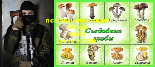трава Армянск
