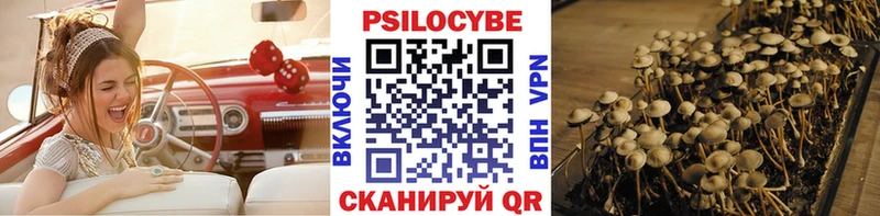 Псилоцибиновые грибы Magic Shrooms  Купить закладки  Тара 