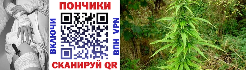 Купить  Тара  Конопля Bruce Banner 